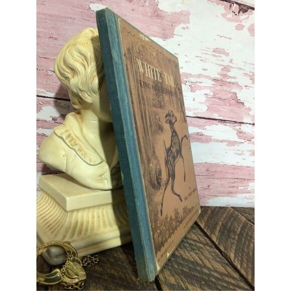 1938 First Edition “White Tail King Of The Forest” By Nell Stolp Smock - Picture 2 of 15